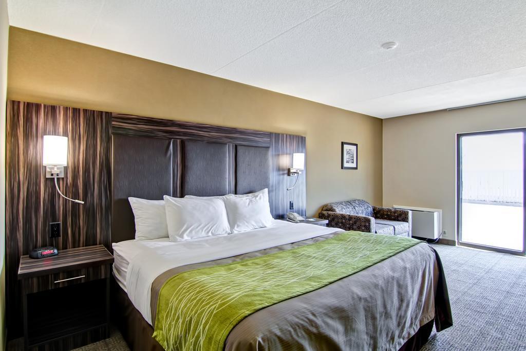 Comfort Inn St. Catharines Niagara Sainte-Catherine Zewnętrze zdjęcie